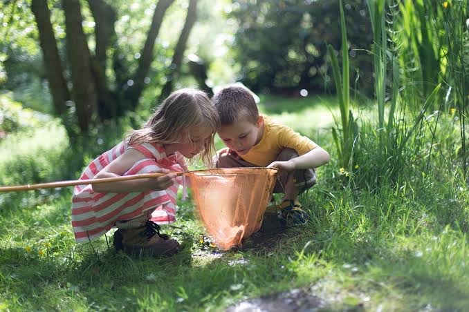Why Environmental Education is Important for Kids